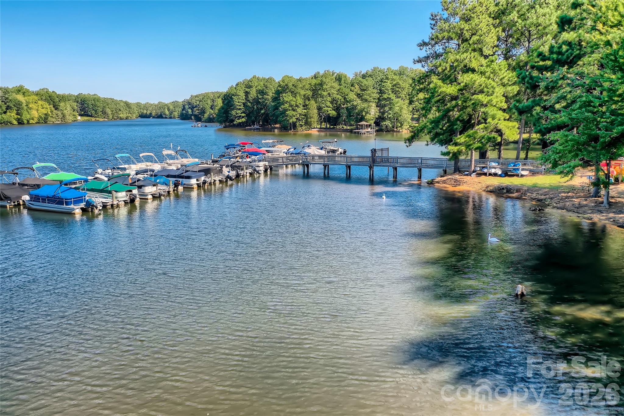 Davidson Pointe - Residential