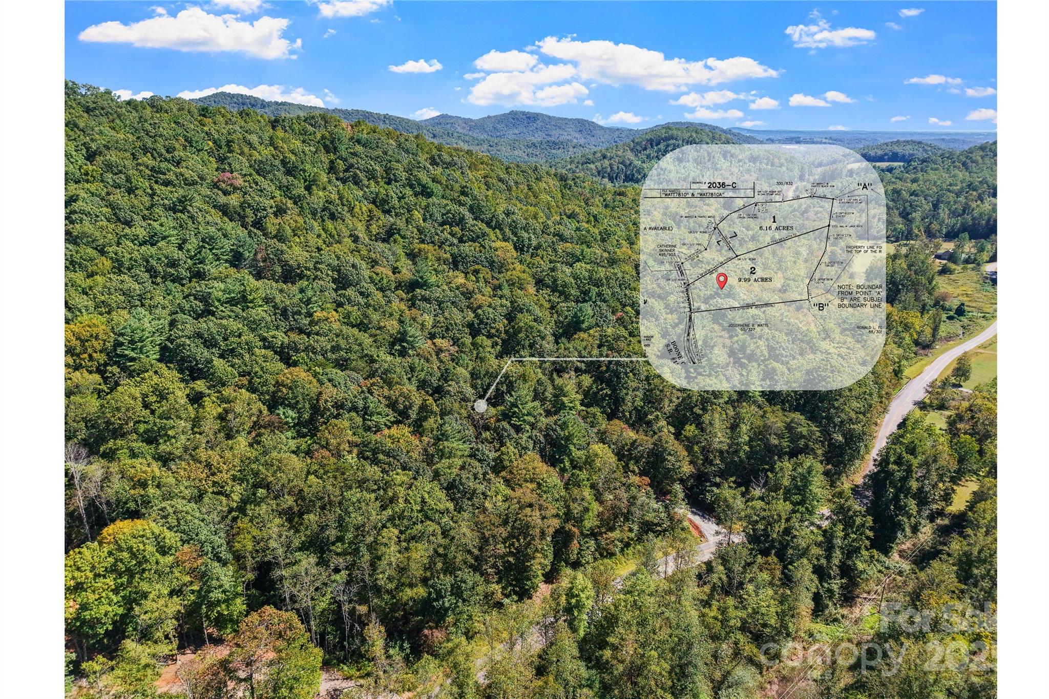 9.99 Acres Boone Gap Lane