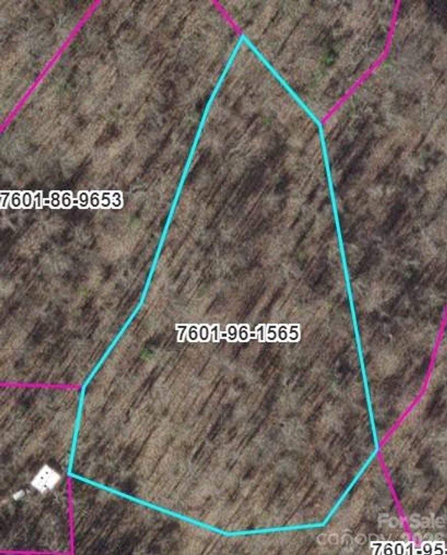 Beautiful 2 acre tract located on Barkers Creek Road in the heart of Whittier, NC. This gently rolling property offers a peaceful mountain setting with a mix of privacy and accessibility. Ideal for a primary residence, mountain retreat, or investment opportunity, the land provides ample space for building while still enjoying the natural surroundings of Western North Carolina. Conveniently located near outdoor recreation, including hiking, fishing, and rafting, and just a short drive to Bryson City, Sylva, and the Great Smoky Mountains National Park. A wonderful opportunity to own acreage in a desirable mountain community. Additional Acreage available at MLS# 4339901 & 4339905