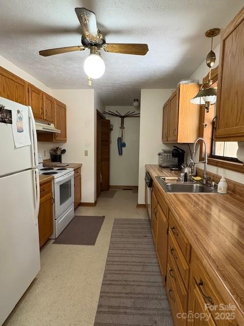 585 Purple Finch Road