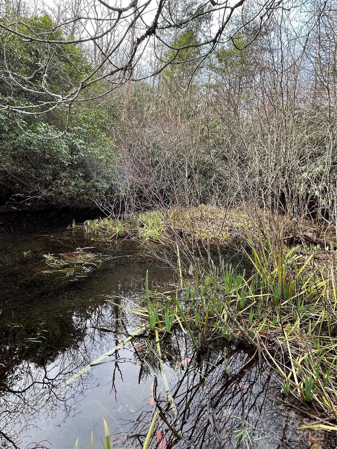 Sherwood Forest - Residential