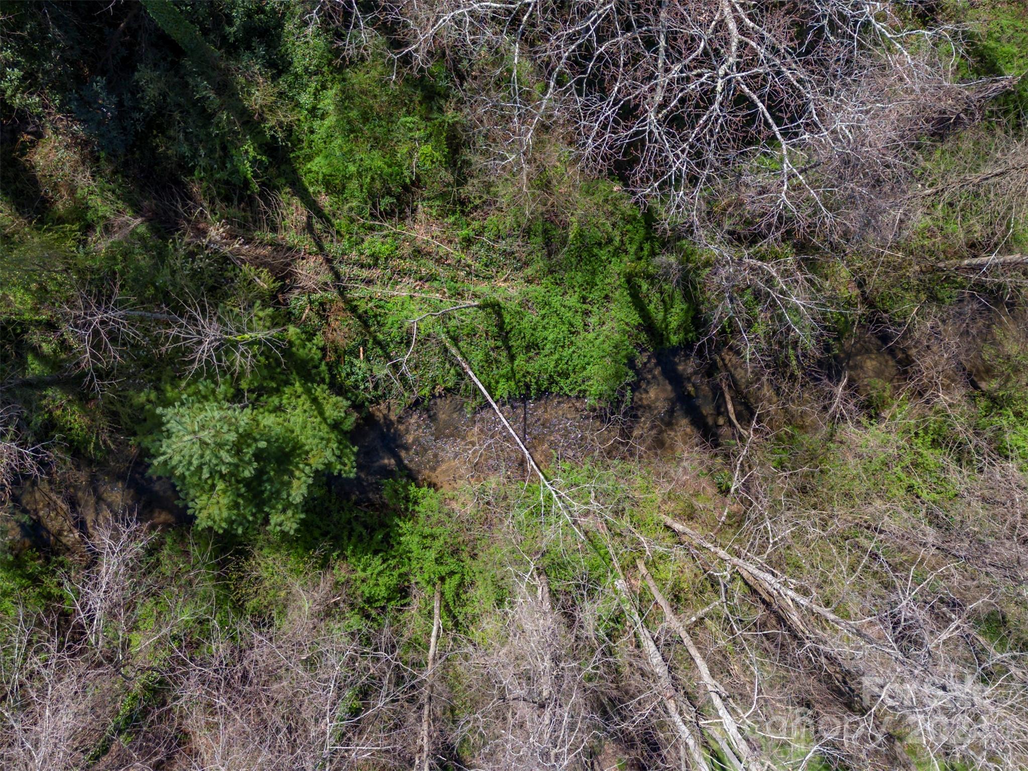 The Cloisters - Residential