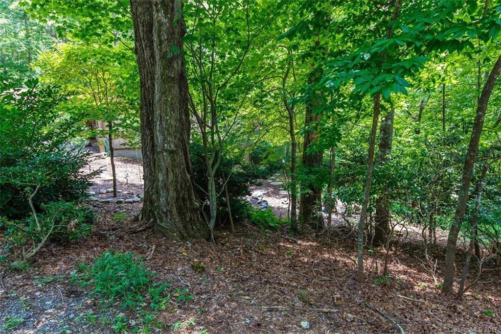Connestee Falls - Residential