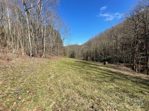 81 Peepeye Cove Road Leicester NC 28748