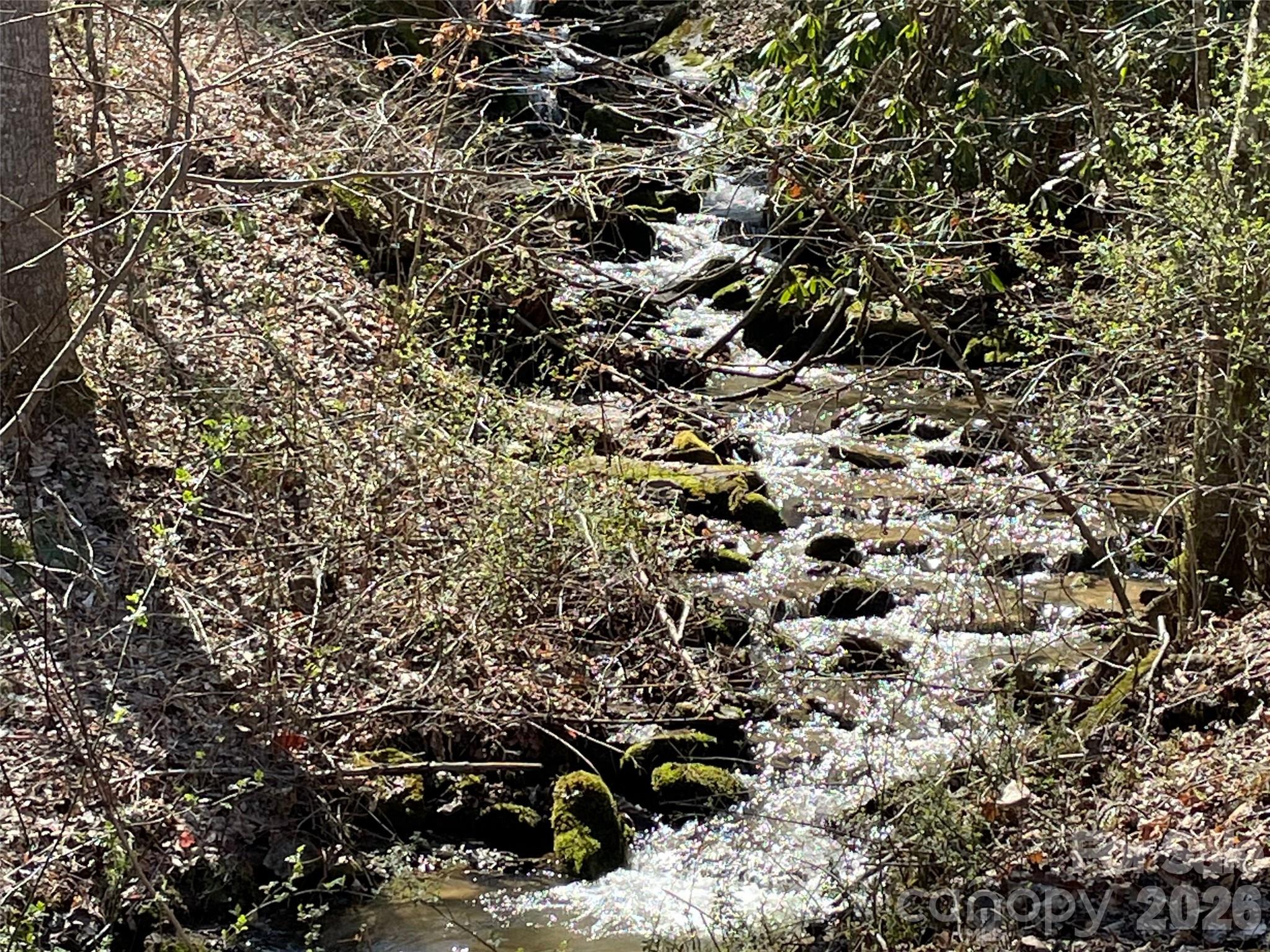 81 Peepeye Cove Road