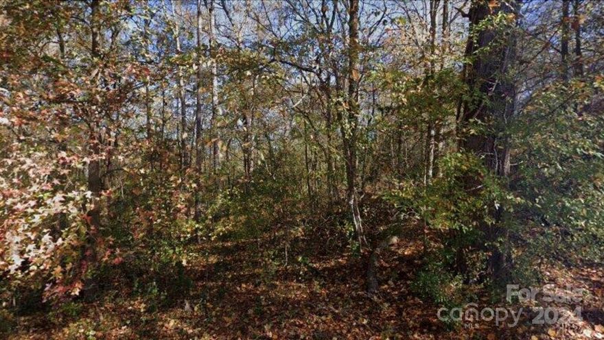 Looking for the right spot to build your home or next investment property? This may be the perfect lot for you! This .13 acre lot is located in the fast growing city of Rock Hill, SC!! It is just a few minutes drive from Historic Downtown! Call today for more information!!
