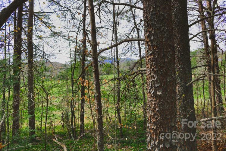 Sweetbriar Farms - Land