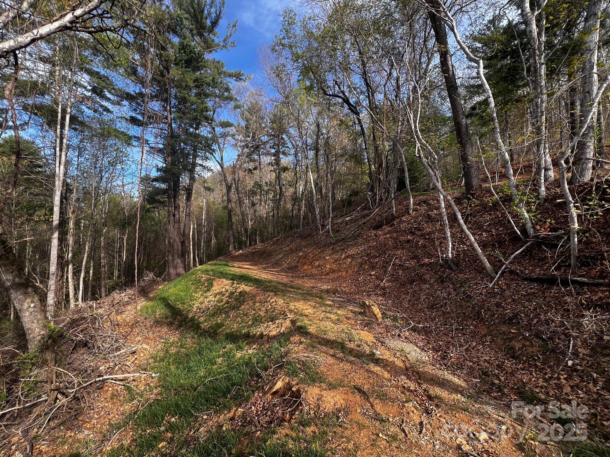 Springdale Estates - Land