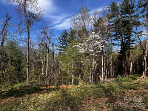 0 Little Creek Drive 5A Canton NC 28716
