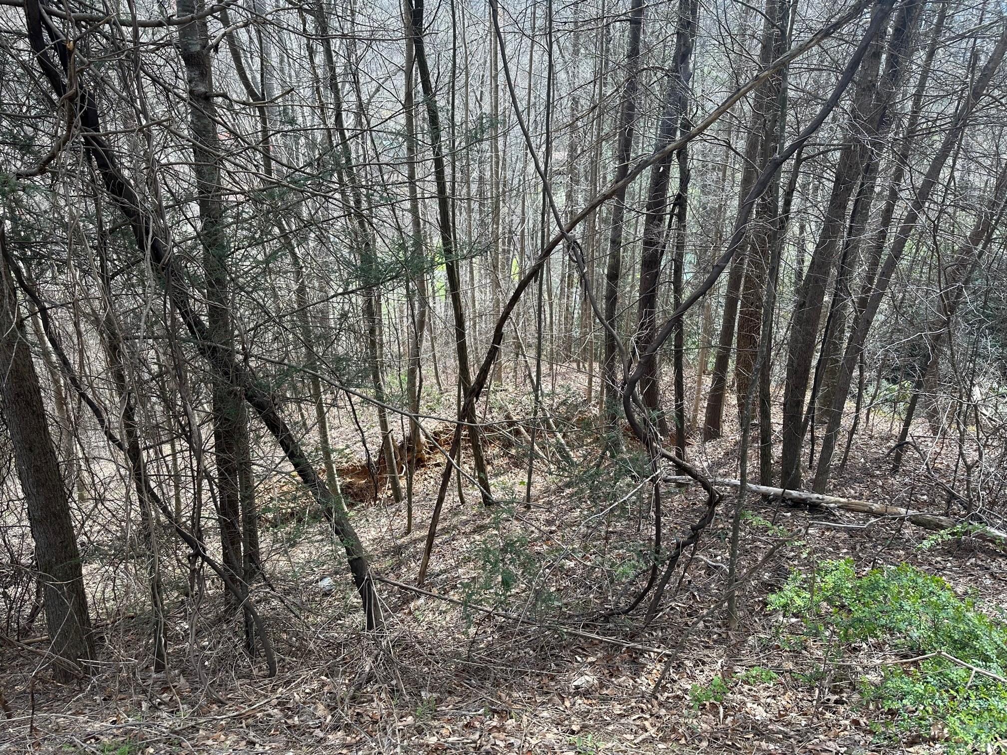 0000 Tuckaway Ridge Drive