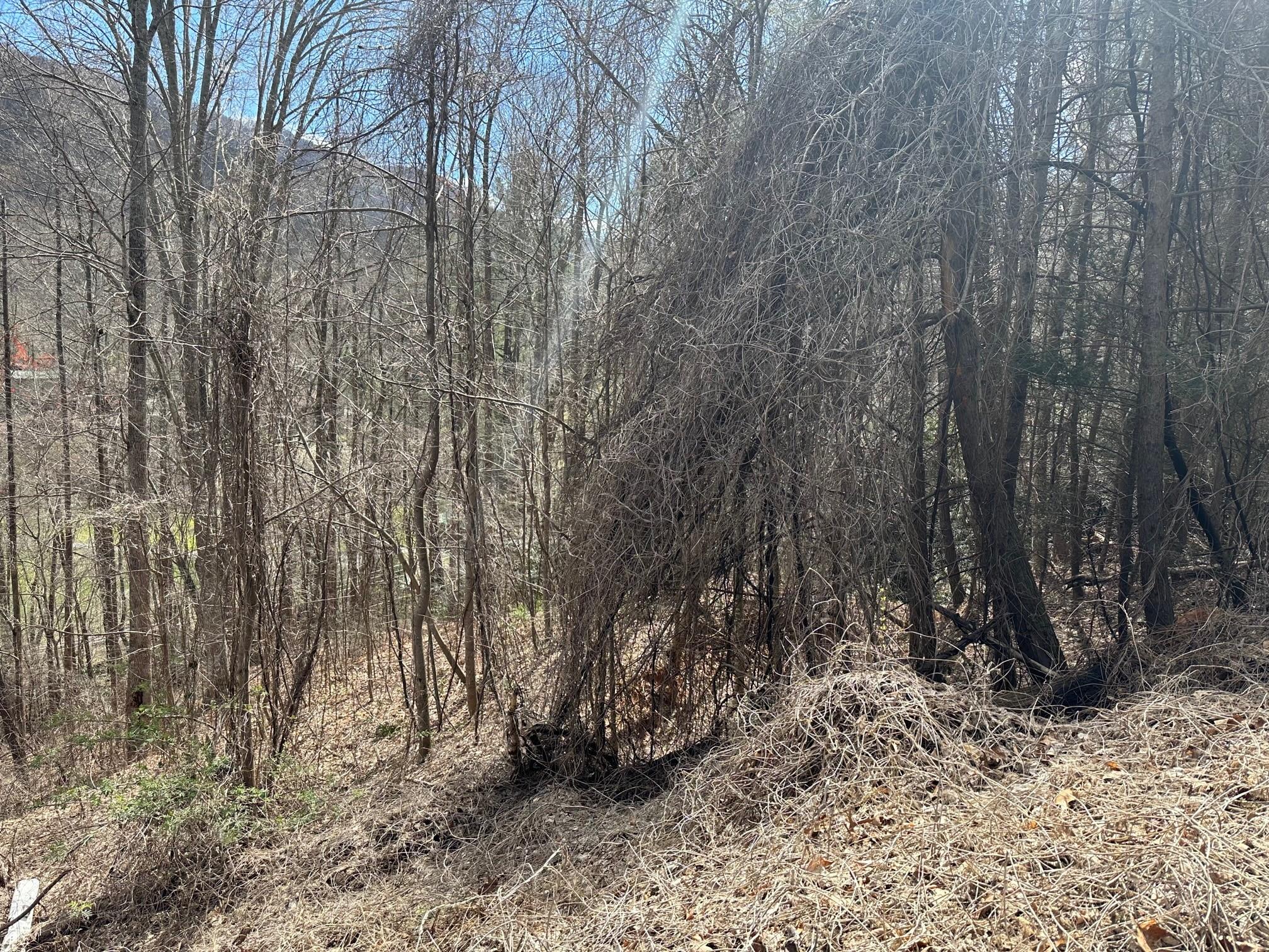 0000 Tuckaway Ridge Drive