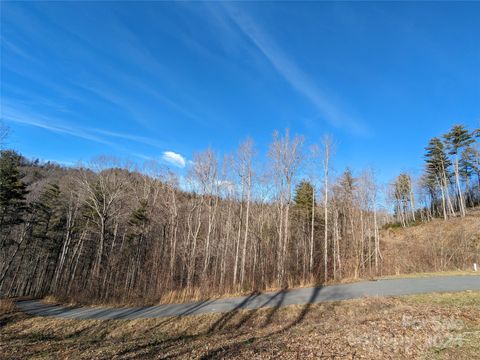 27 Bent Branch Lane 10 Asheville NC 28804