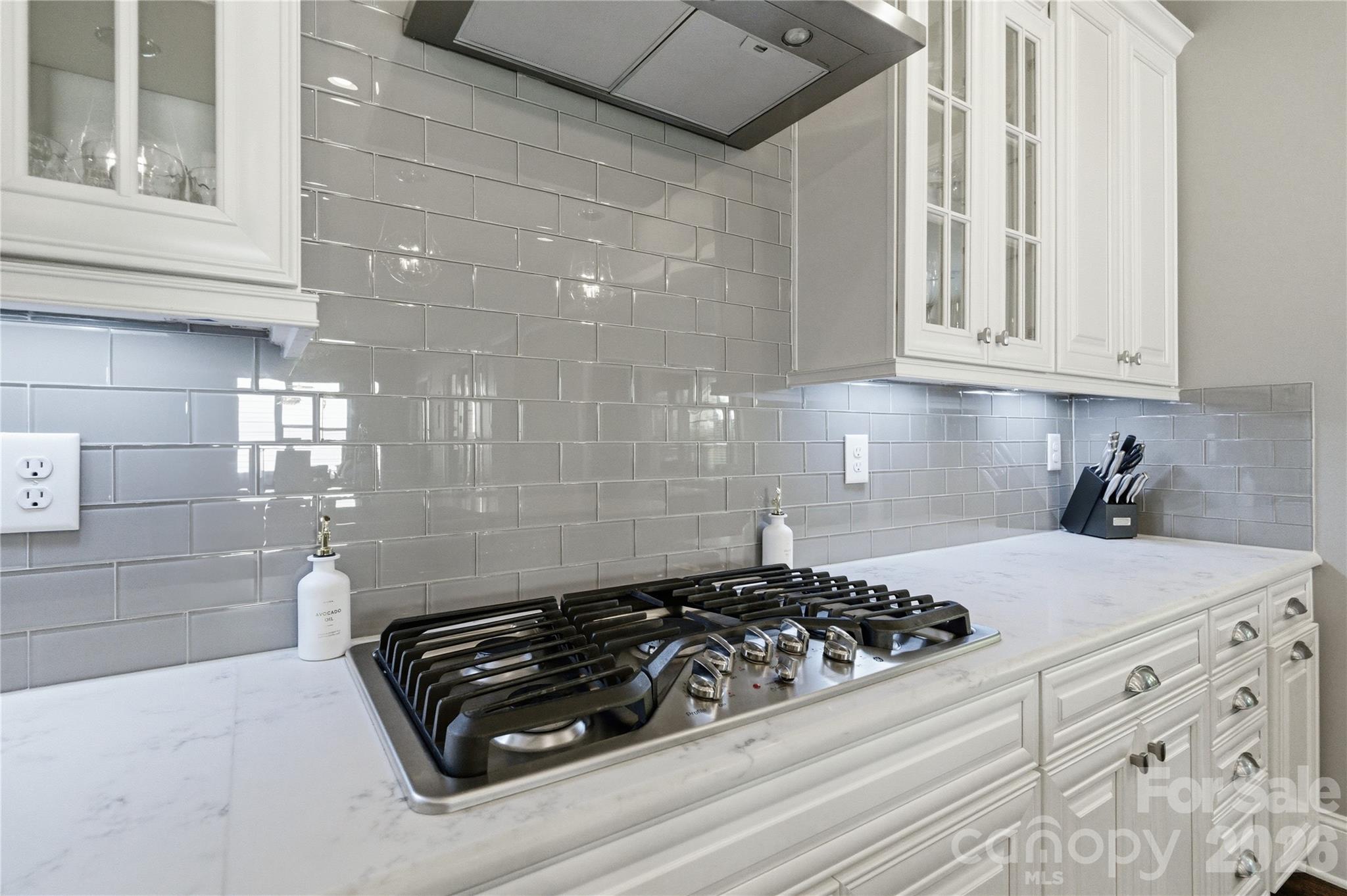 Waterside at the Catawba - Residential