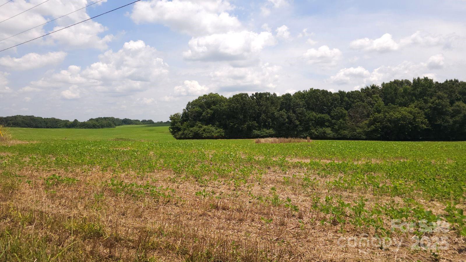 TBD Traywick Road