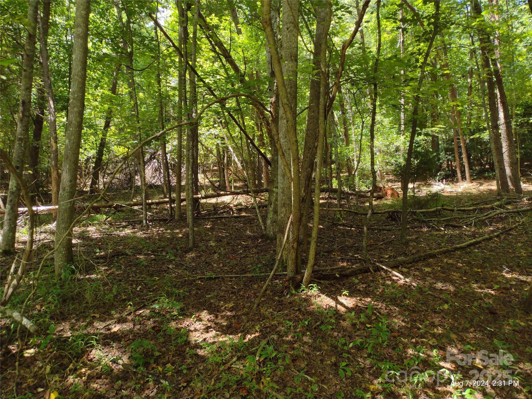 00 Wilkerson Court 12