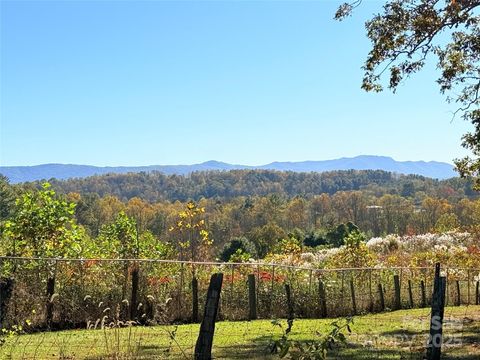 Photo of 37 Bittersweet Drive, Hendersonville, NC 28792 (MLS # 4248021)