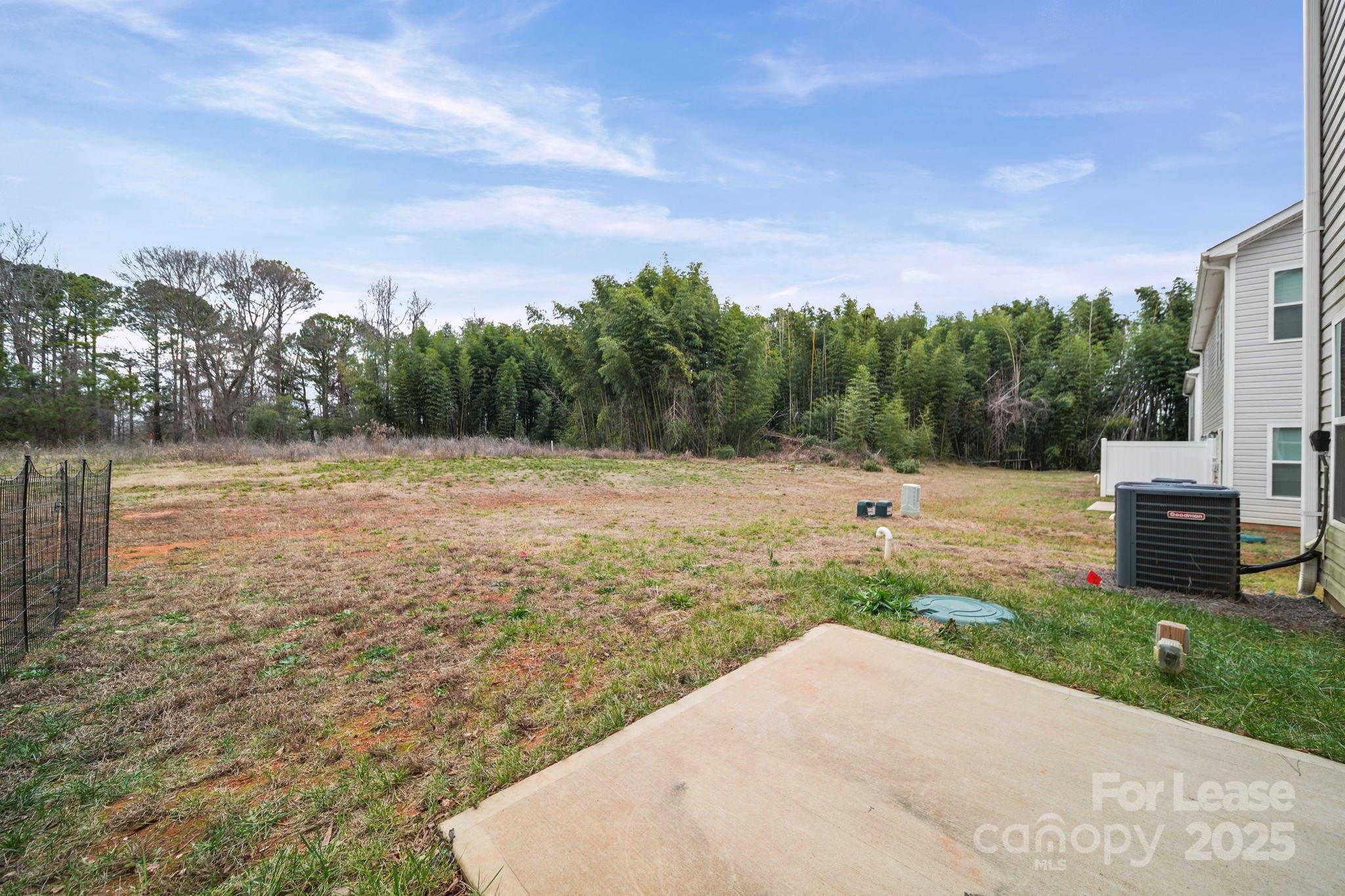 None - Residential Lease