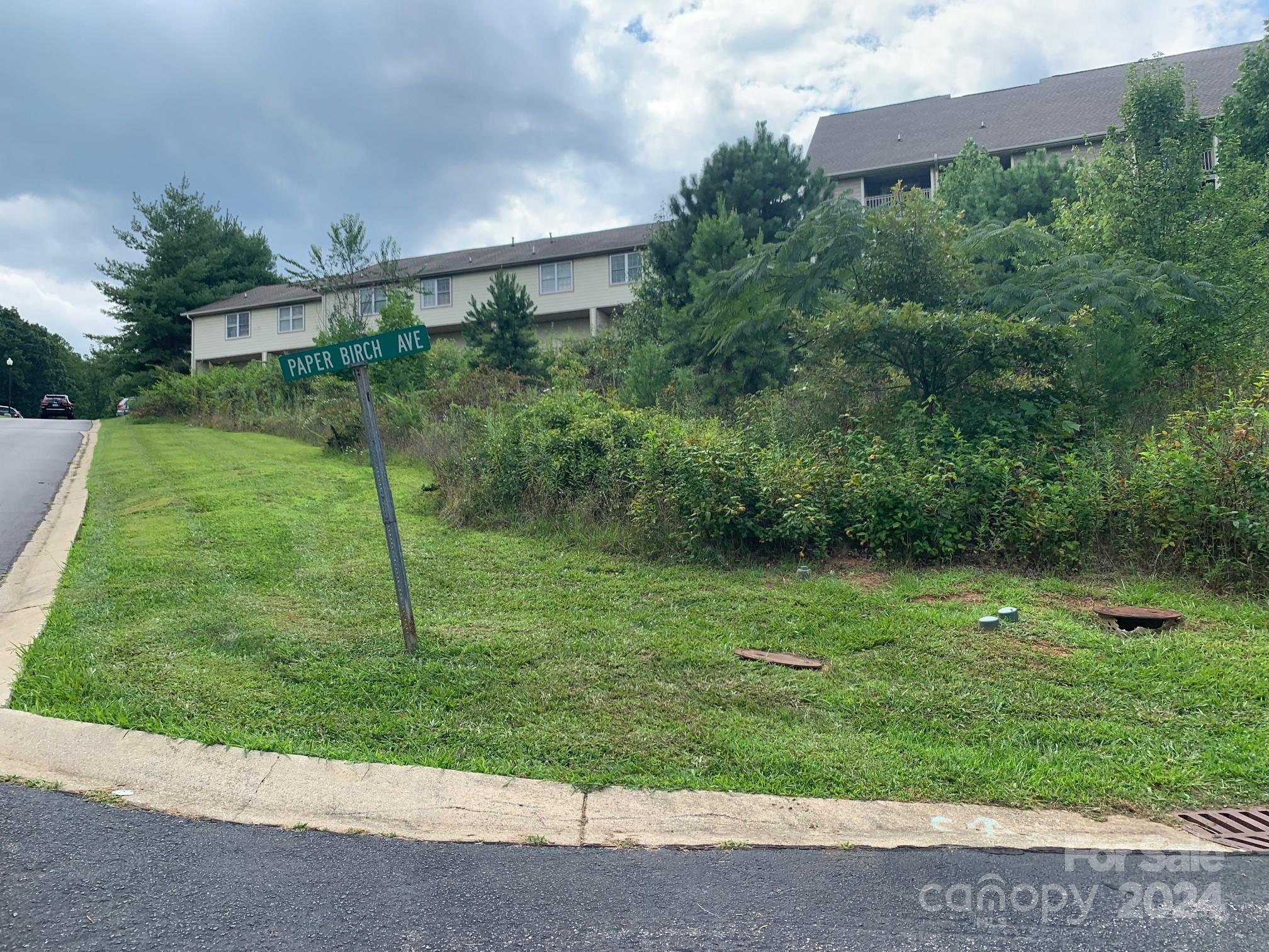 99999 Fallen Spruce Drive
