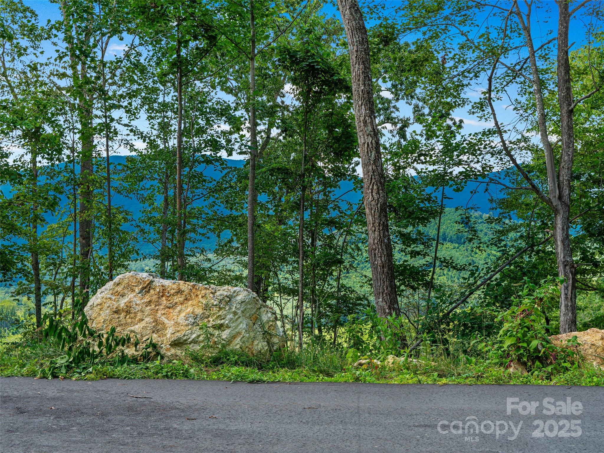 0 Summit View Parkway 42