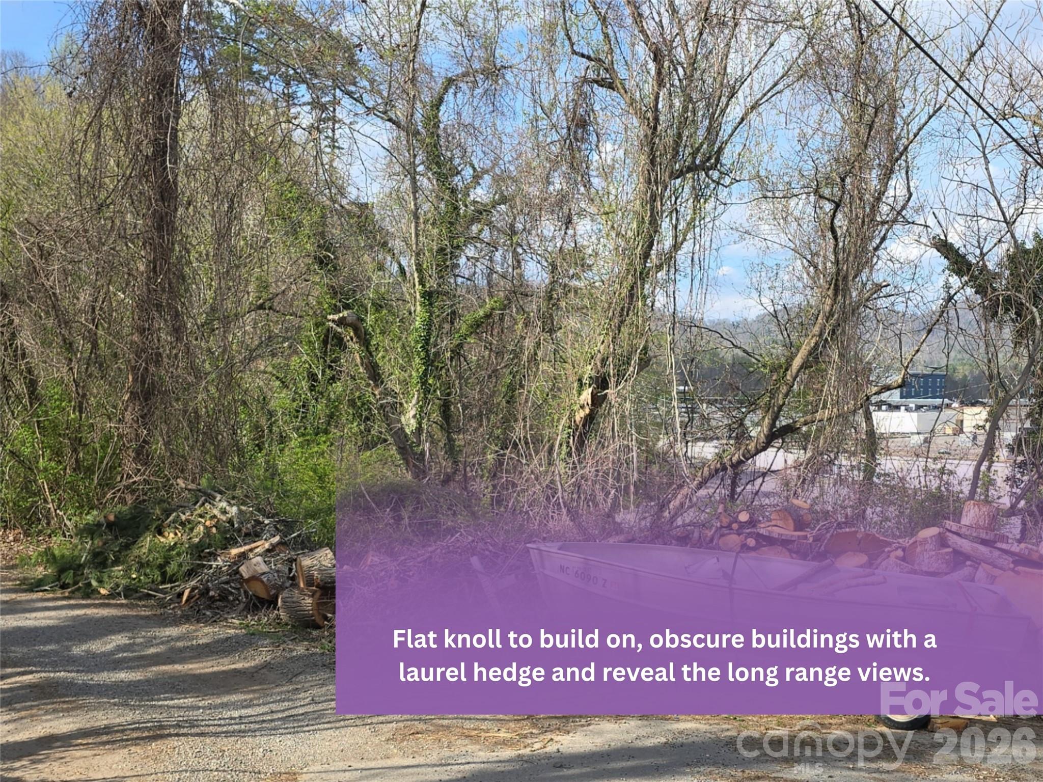 999999 Beaucatcher Road