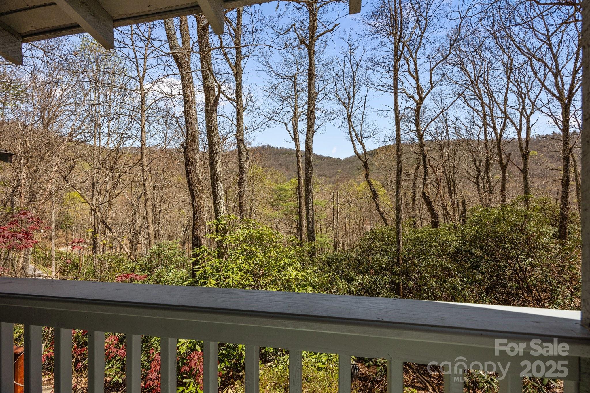 63 Chestnut Forest Road