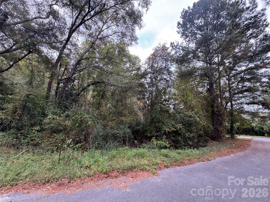 102 ELLEN DR, HAMLET, NC 28345 - Image 6ba9b0bc95d63b9abdddf9c689cc33fb/3975070708