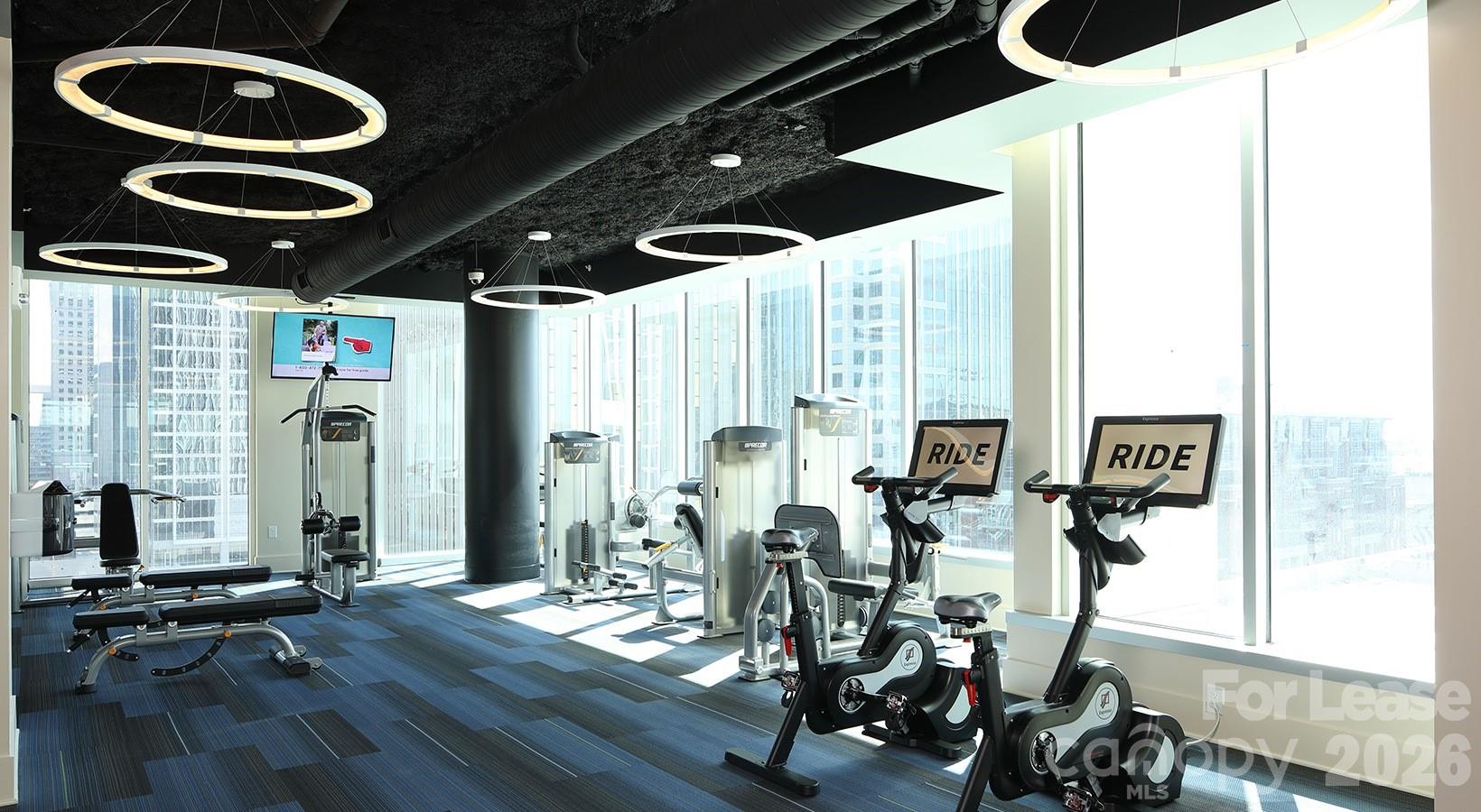 Third Ward - Residential Lease