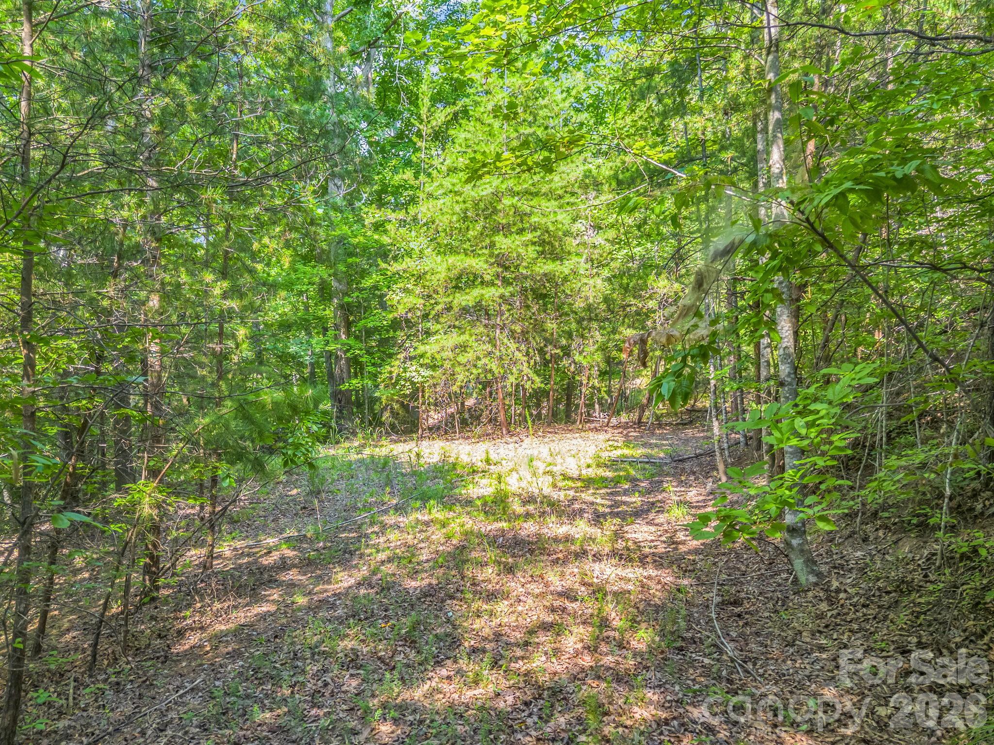 2 Jackson Cove Road W