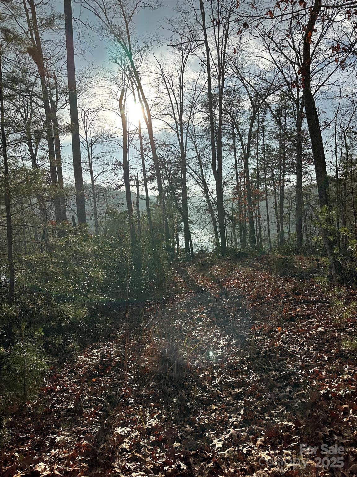 00 Jackson Cove Road W 2