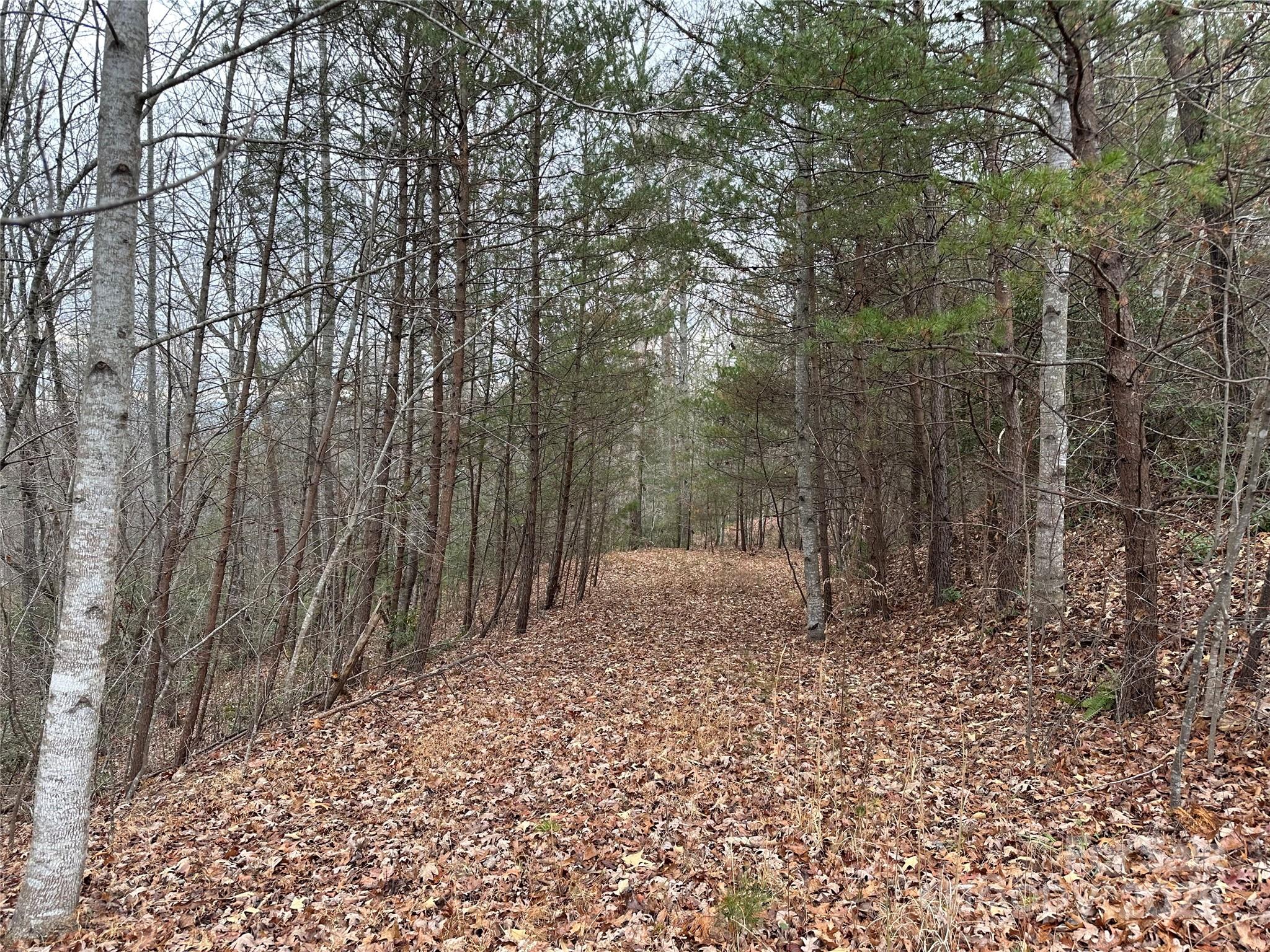 00 Jackson Cove Road W 2