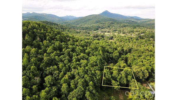 31 COFFEY RD, LINVILLE, NC 28646 - Image 6bcee491f5f67f7e8499263bd036ae8f/1062051669