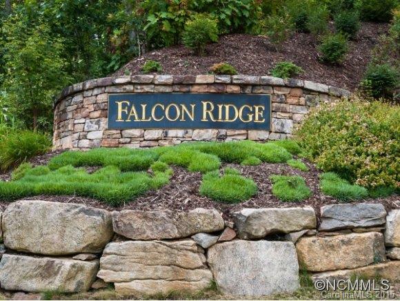 Falcon Ridge at Haw Creek - Residential
