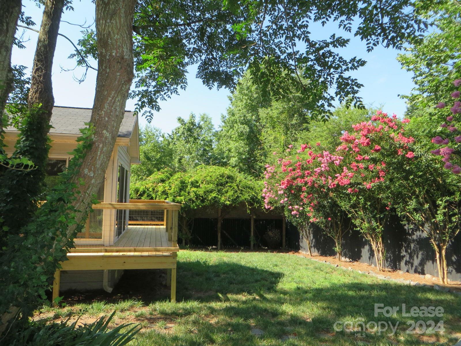 None - Residential Lease