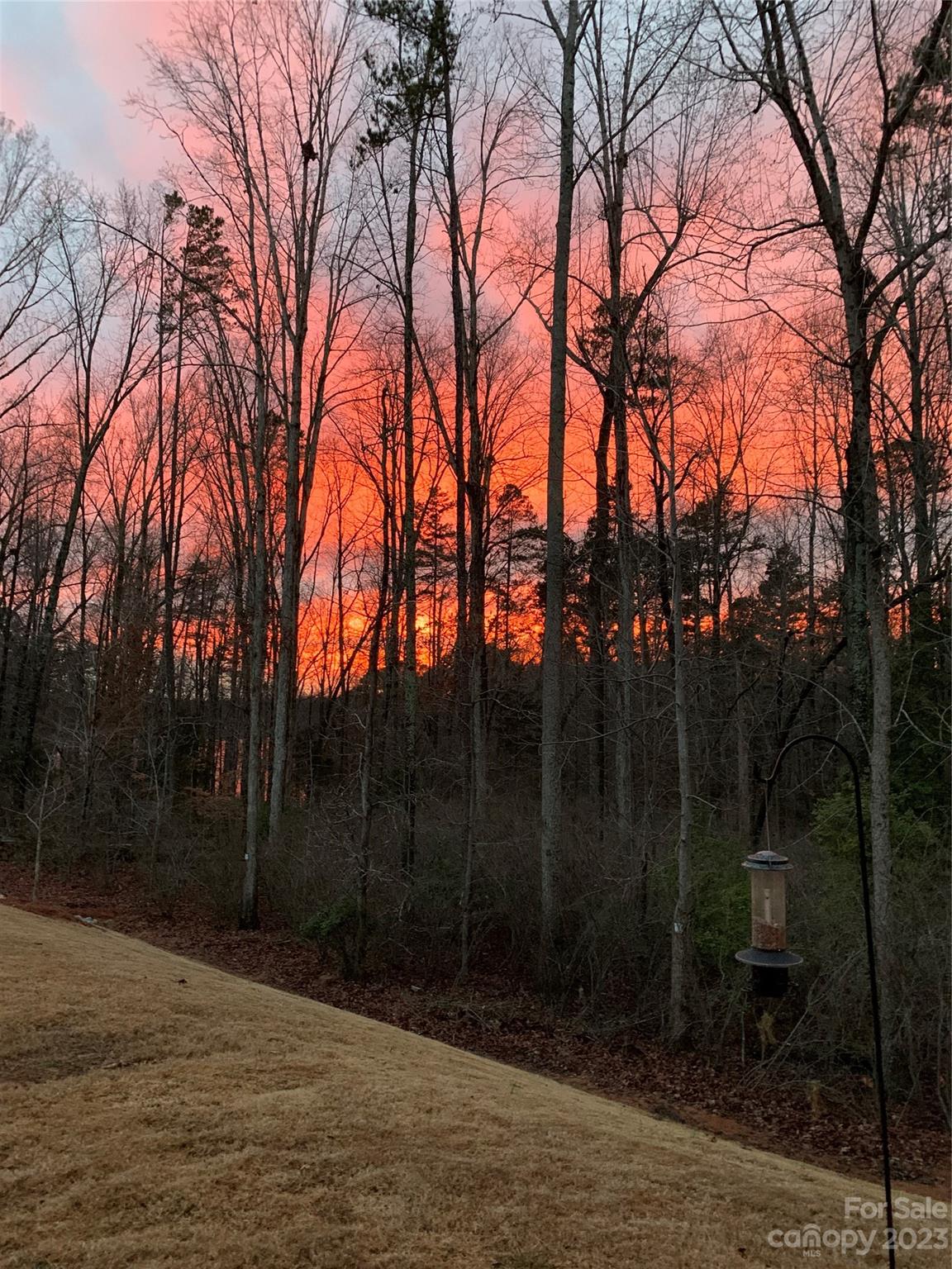 The Conservancy at McLean - Residential