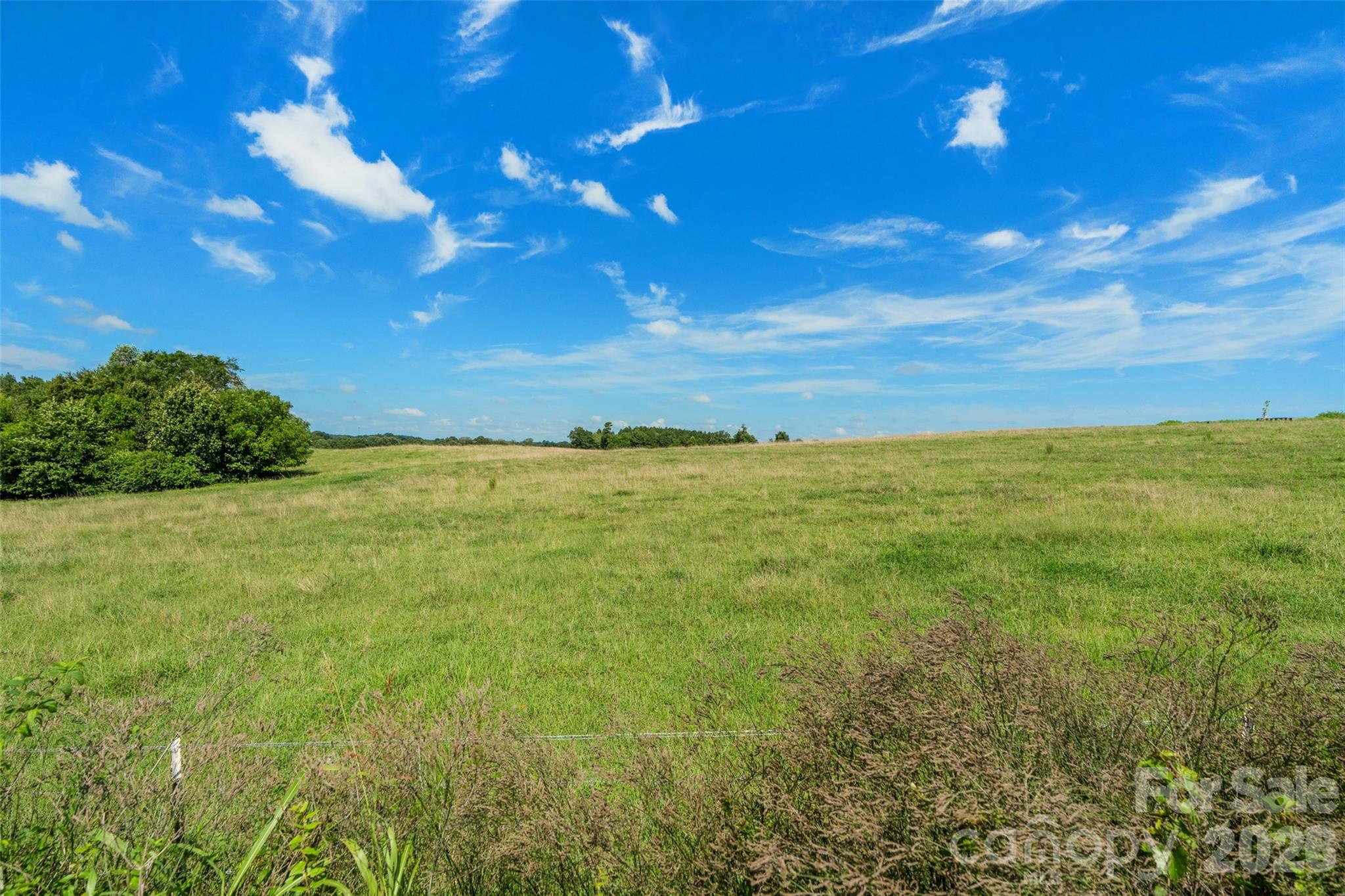 0000 Lucy Short Cut Road C