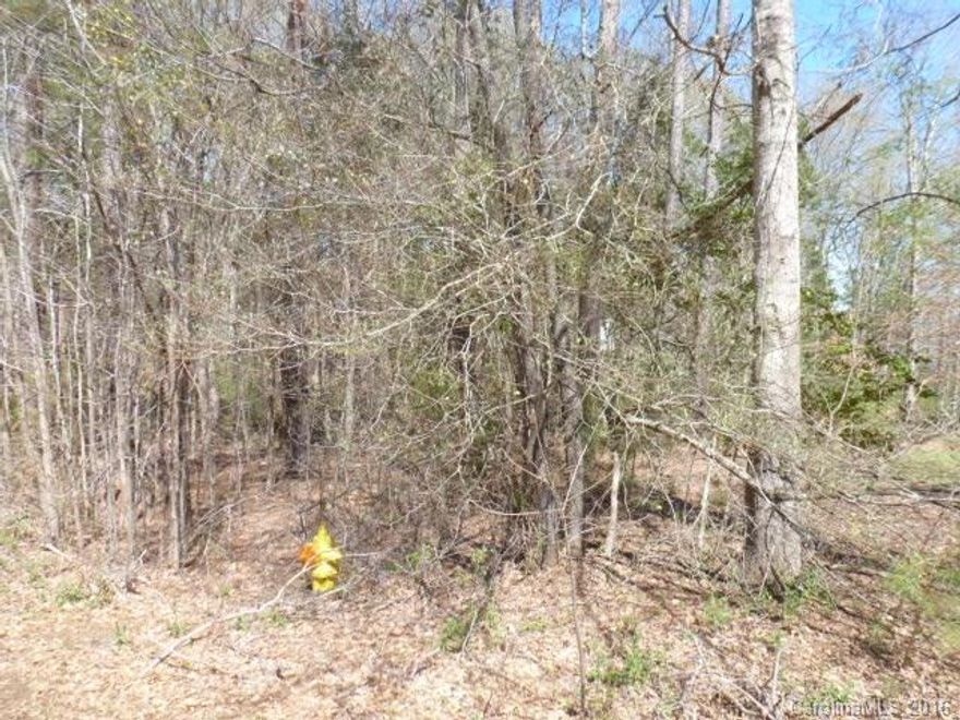 Residential lot in Arrowood Estates, .37 acre, wooded, Lancaster County water and sewer. Build your dream home in this desired subdivision