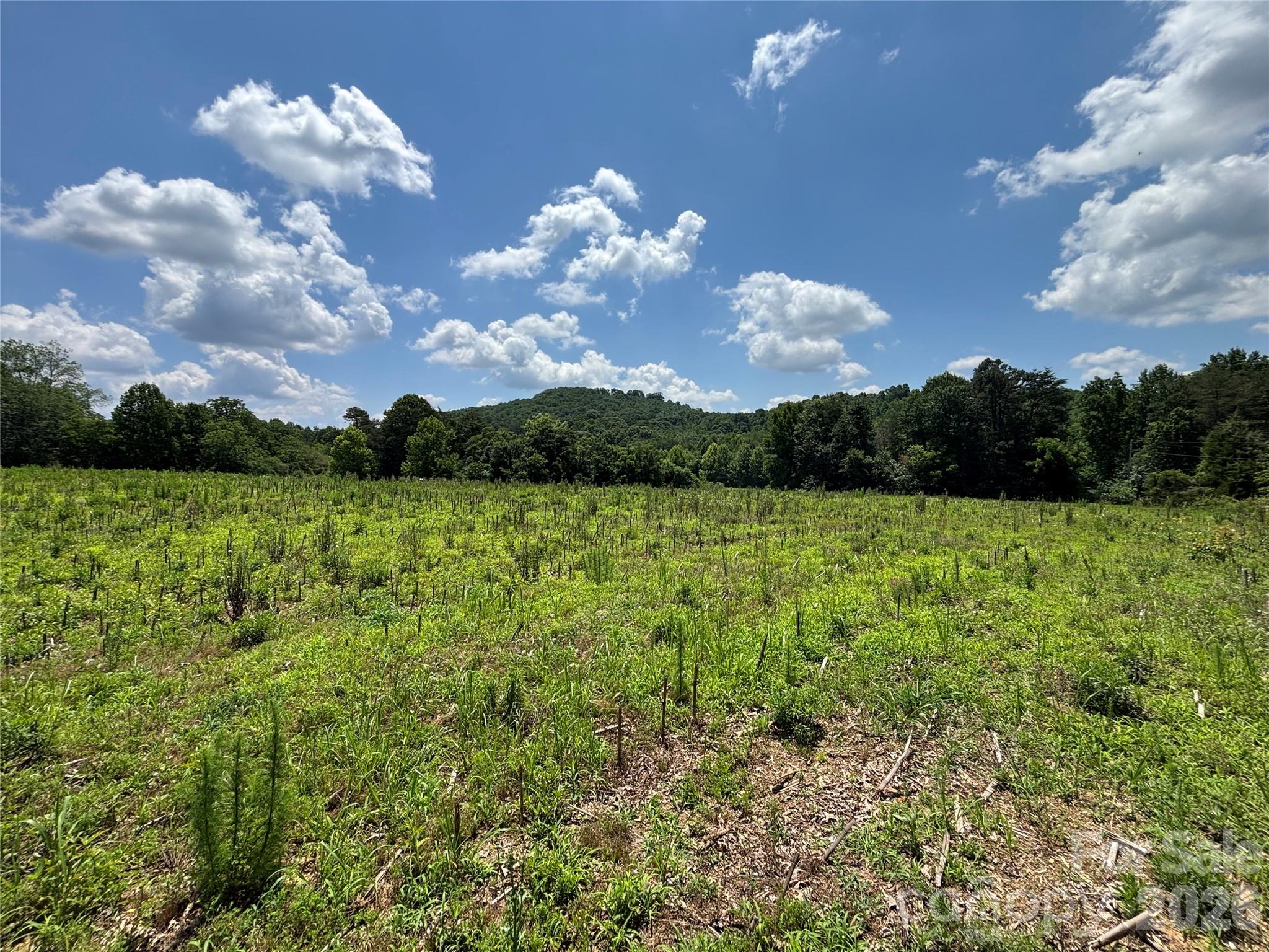 00 Brookhaven Road