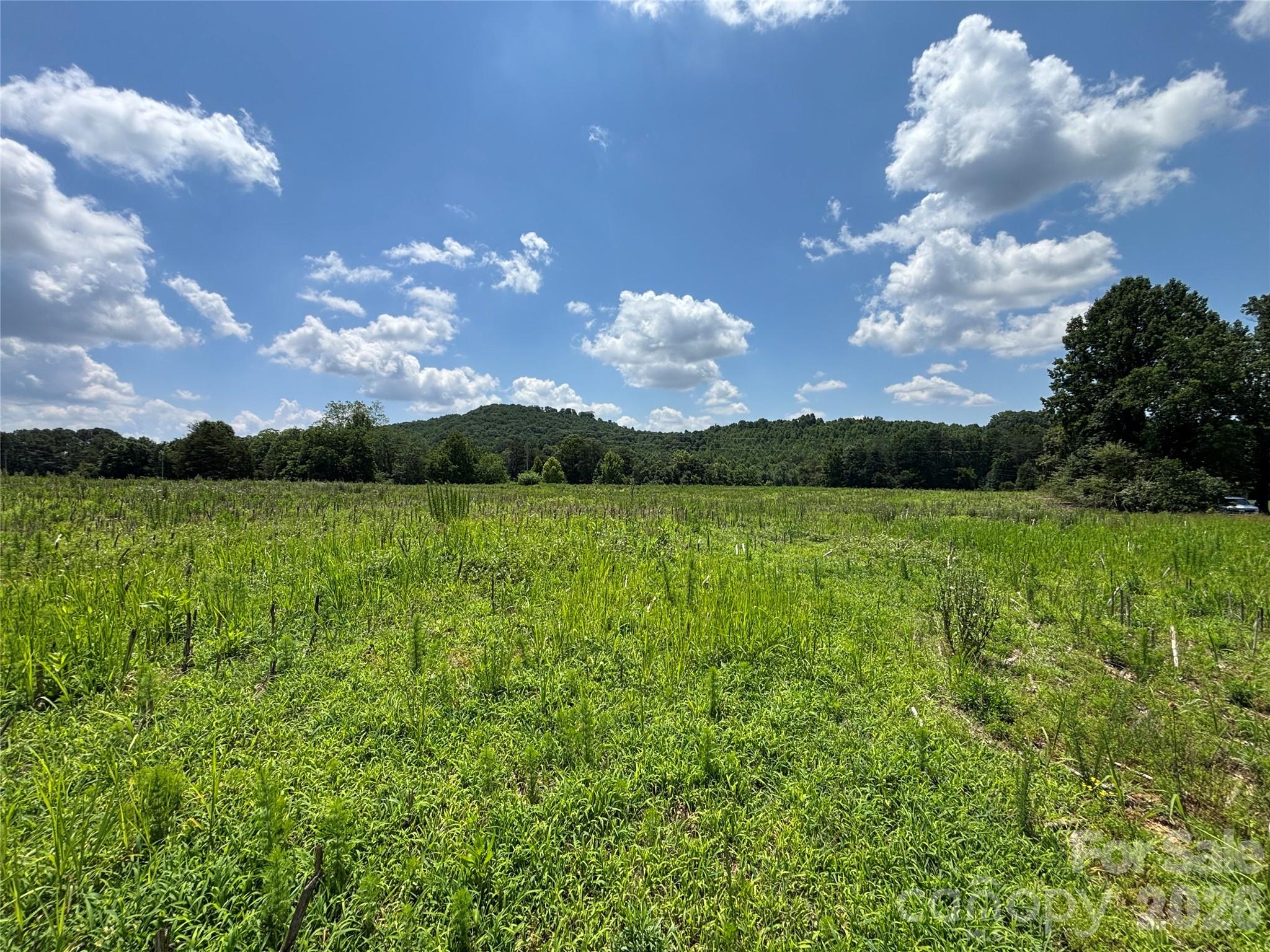 00 Brookhaven Road