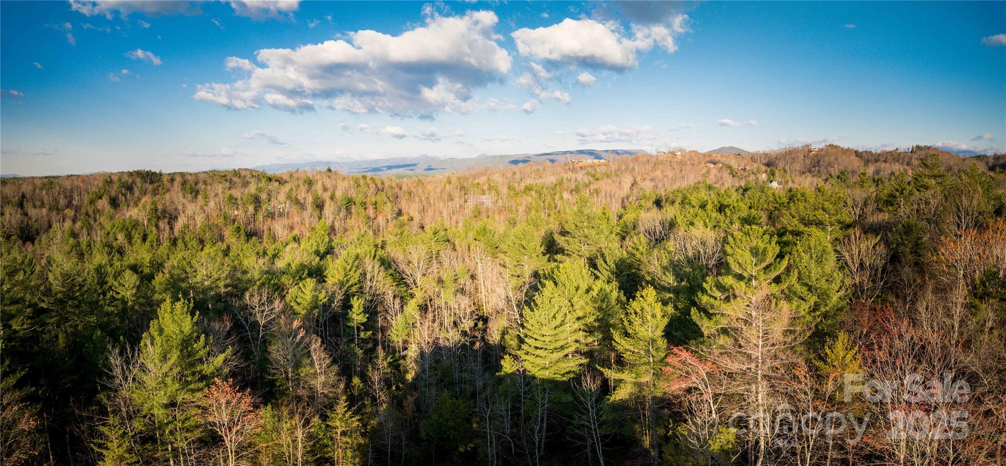 The Coves Mountain River Club - Residential