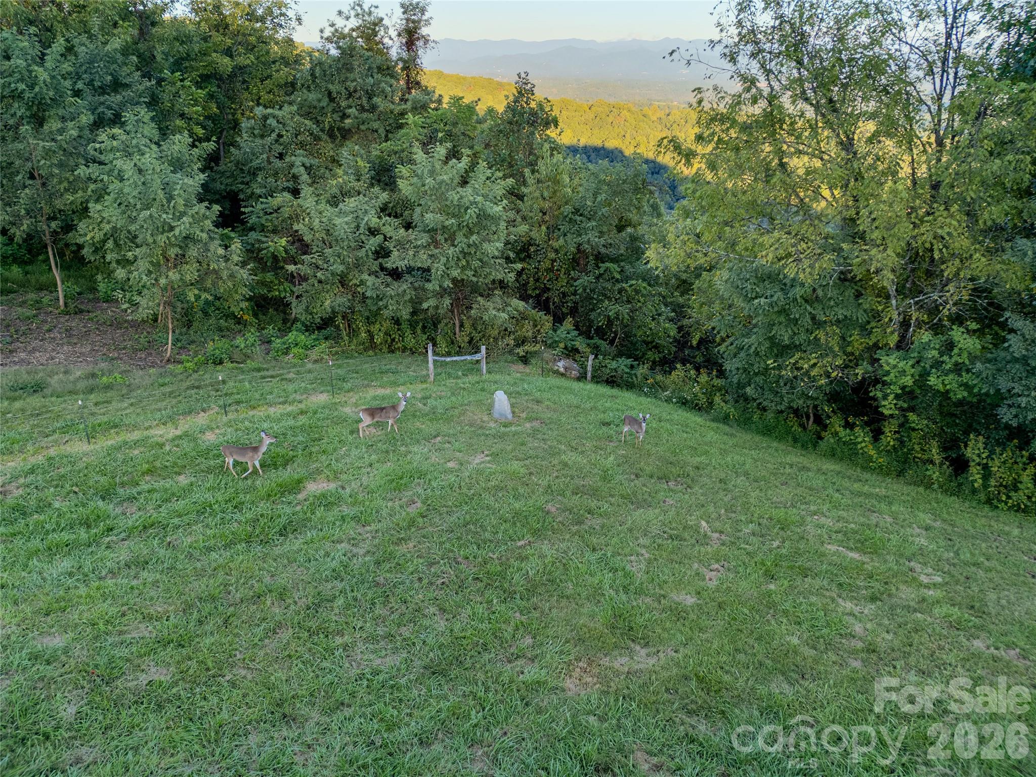 1045 & 1047 Graham Road