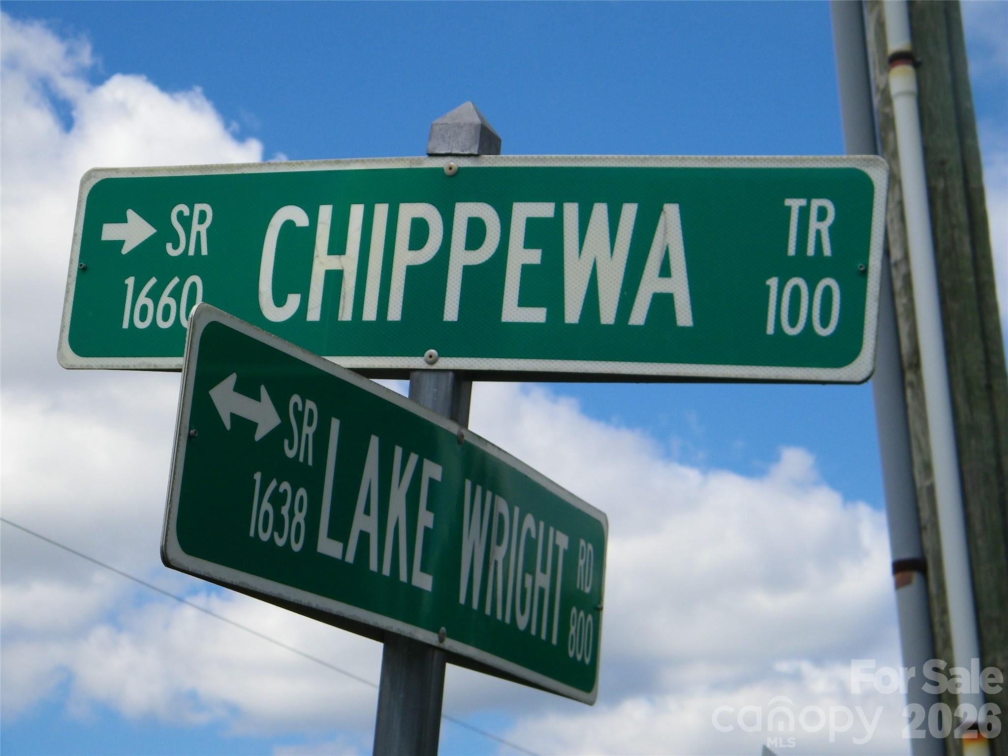 113 Chippewa Trail