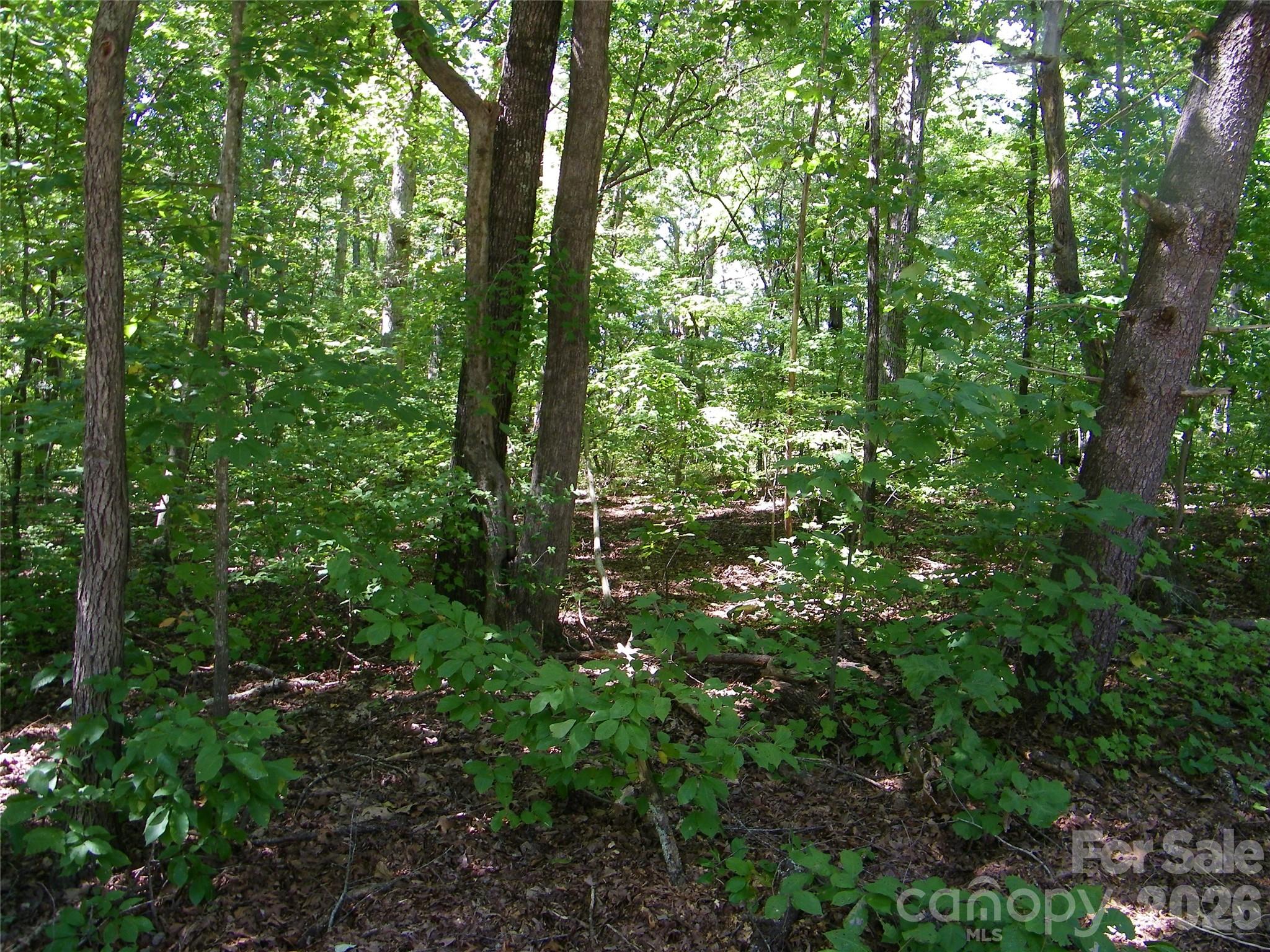 113 Chippewa Trail