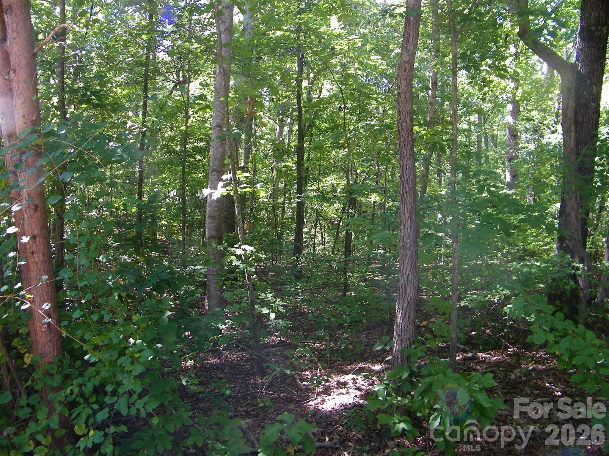 113 Chippewa Trail