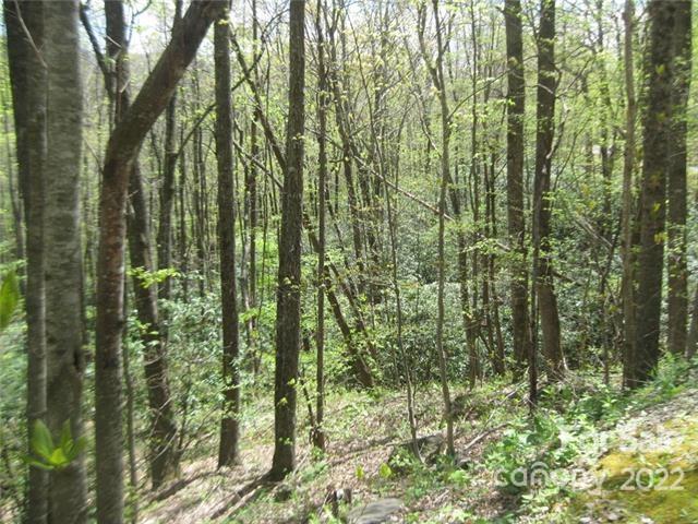 23 Wood Haven Lane 113