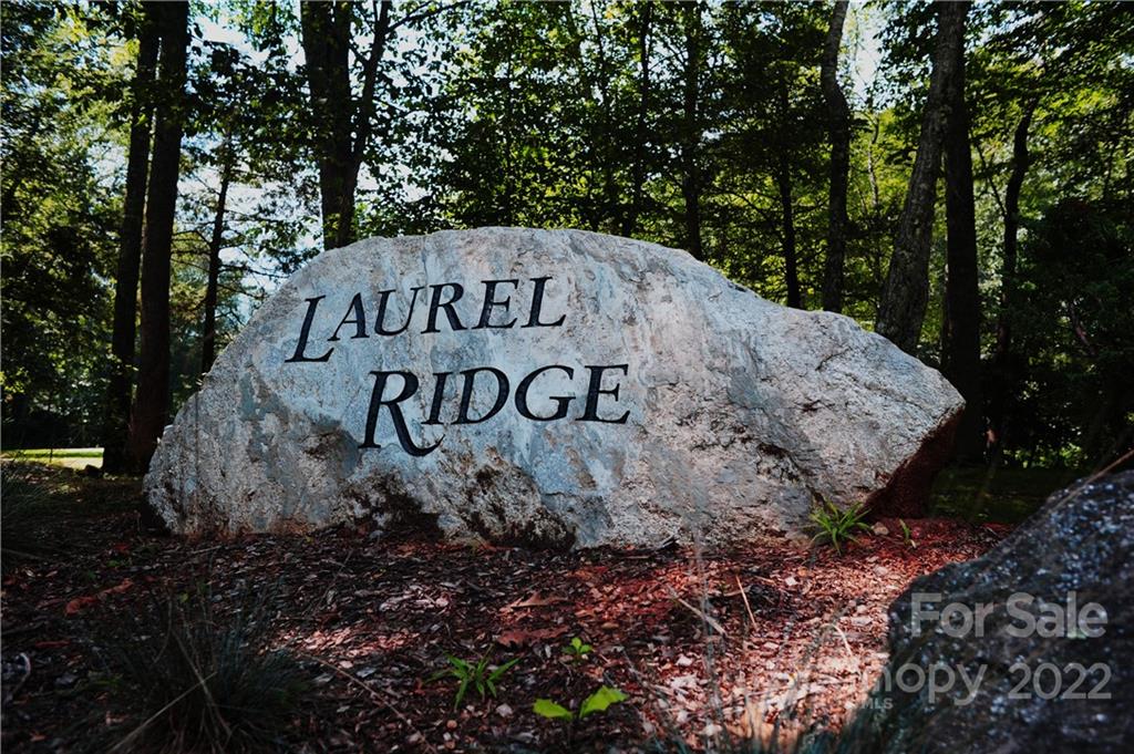 Laurel Ridge - Land