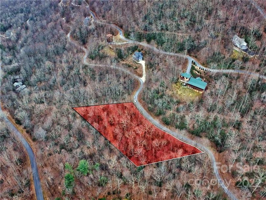 Motivated seller! Make an offer! See today this lovely 10 percent slope, gentle building lot that combines privacy with winter mountain views. To better help you to visualize your new home, a topographical, boundary, and tree survey is on file and is available upon request. Laurel Ridge is a community of nearly 90 executive homes set amid 1,100 pristine acres and includes a fire substation, community center, a community water system, underground utilities, high-speed internet, and abundant wildlife. All this only 10 min to Black Mountain and 15 min to I-40.