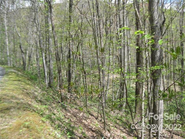 23 Wood Haven Lane 113