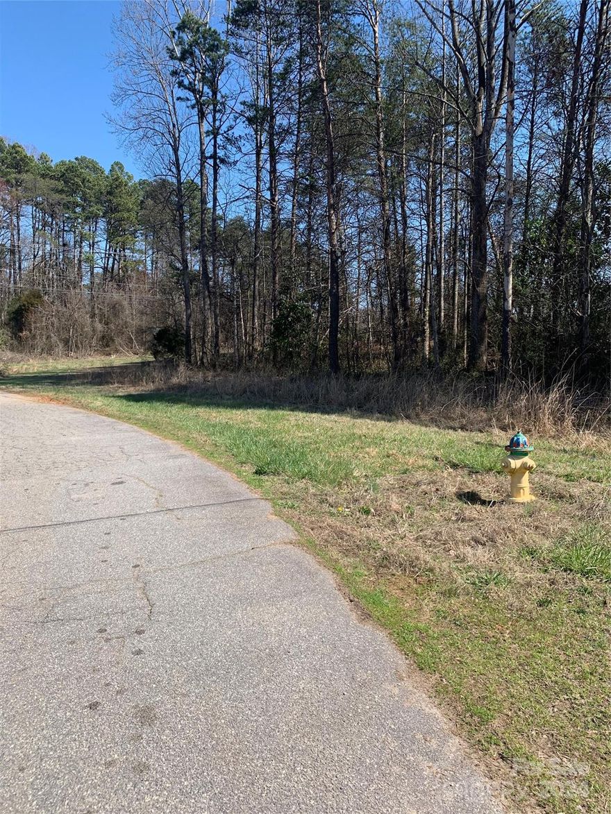 Downtown Catawba, NC is growing with new places to eat and shop.  This lot, located within 1 mile of Downtown Catawba, is available for your new site built home or modular home.  City Water is available at the street.  Septic tank would need to be installed.  Lot is gently sloping and has some beautiful hardwoods. Come walk the lot.  Corners have already been marked!