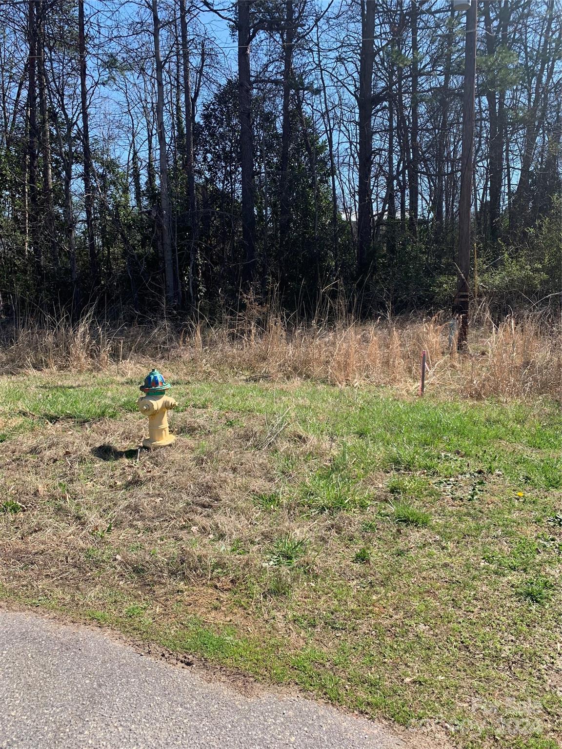 Lakemont Park - Land