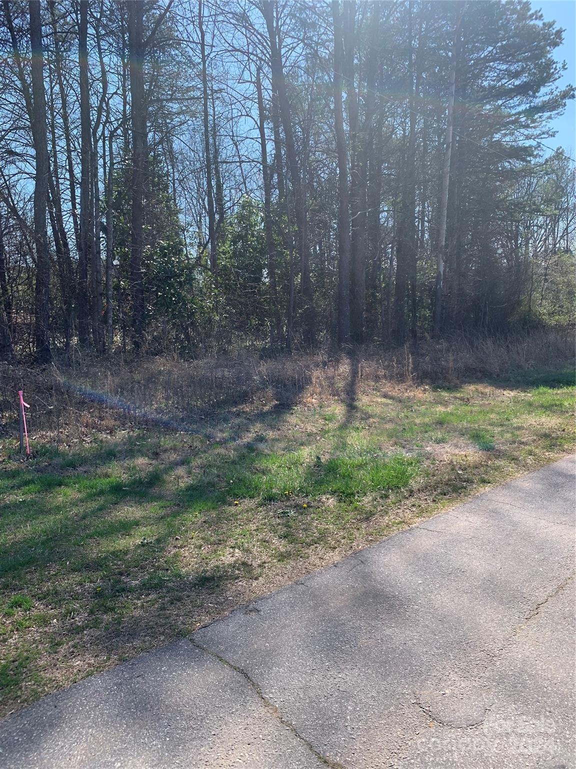 Lakemont Park - Land